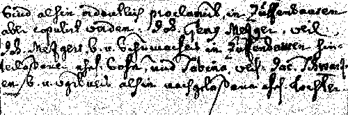 Eheregister Stuttgart-Zuffenhausen 1756: Johann Georg Metzger und Sabina Schwarzin